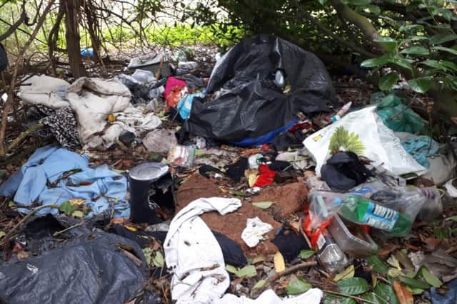 Rubbish collected by the volunteers. Photo: Harry Machin