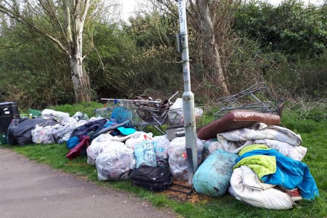 Rubbish which was collected. Photo: Harry Machin