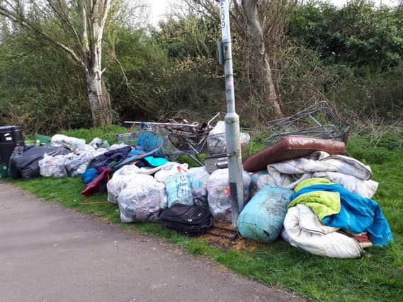Rubbish which was collected. Photo: Harry Machin