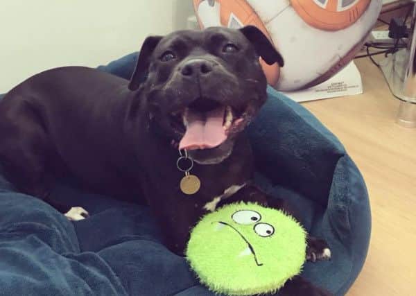 Kali