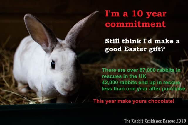 A poster from The Rabbit Residence Rescue