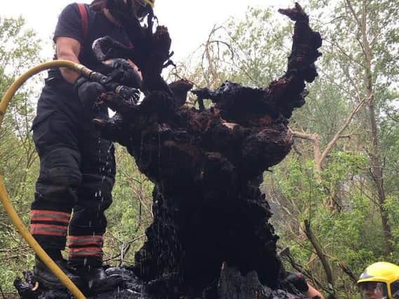 Fire crews tackling one of the tree fires. Photo: Cambridgeshire Fire and Rescue Service