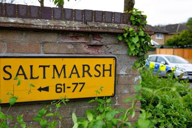 Saltmarsh in Peterborough. Photo: Terry Harris