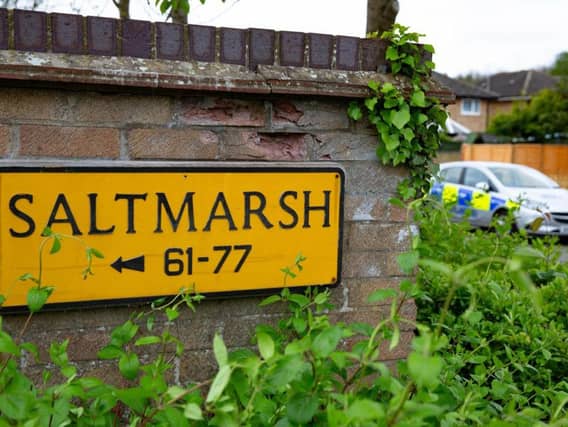 Police in Saltmarsh after the stabbing. Photo: Terry Harris
