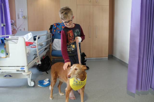 Zorro was a huge hit with patients and staff