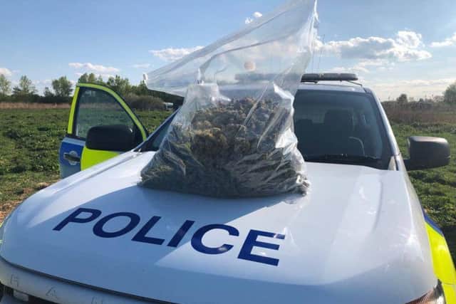 Cannabis discovered by police. Photo: Cambridgeshire police
