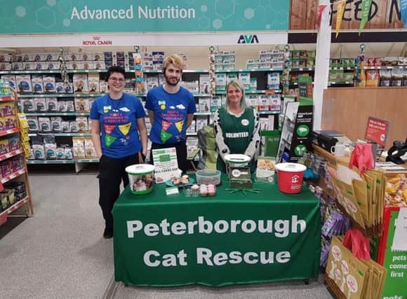 The Pets at Home store in Bourges Boulevard is fundraising for Peterborough Cat Rescue
