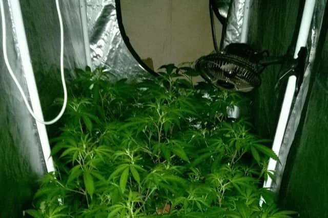 Cannabis discovered by police in the home