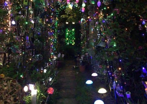 Andrea's night garden