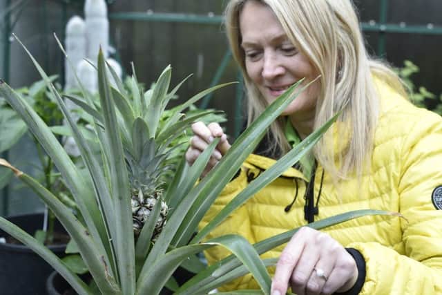 Rachael Tee with her pineapple plant EMN-191106-170229009