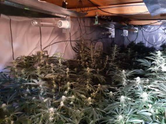Drugs seized in Wisbech St Mary. Photo: Cambridgeshire police