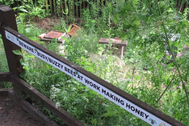 The hives were destroyed last week