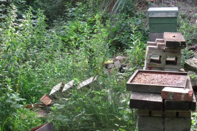 The hives were destroyed last week