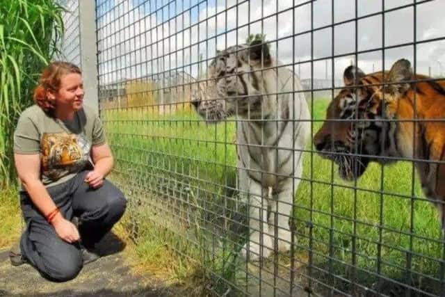 Rosa King with the tigers she loved