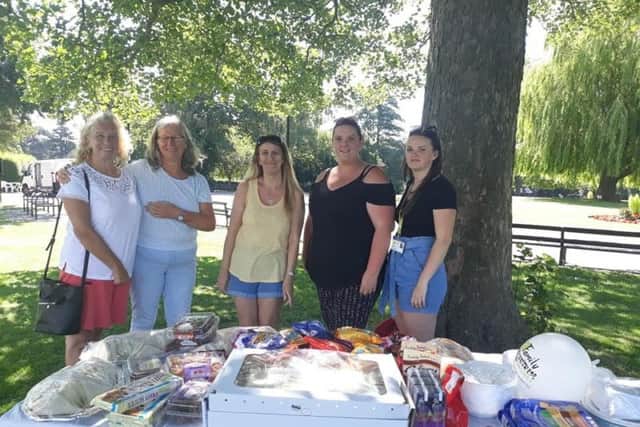 A Family Action Monster Picnic