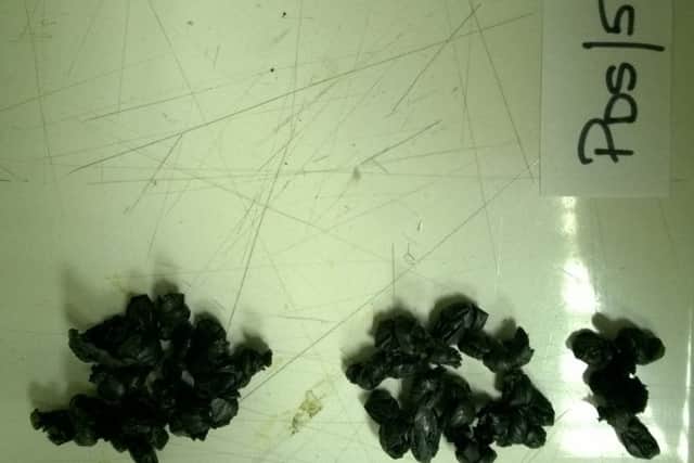 Drugs which were seized