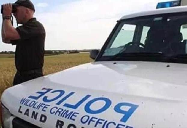 Hare coursing crackdown