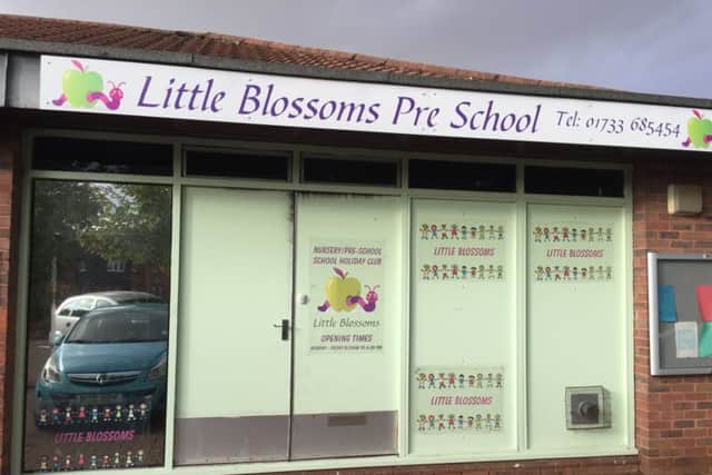 Little Blossoms in Skaters Way after the fire