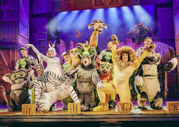 Madagascar The Musicalis coming to Peterborough New Theatre on October 2. Photo by Mark Dawson Photography.