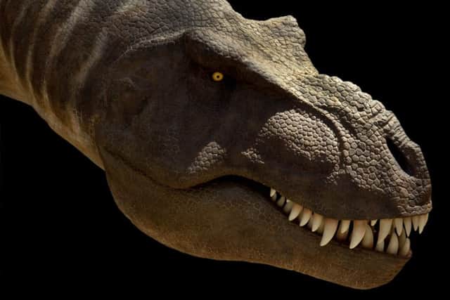 The T. rex. Photo: National History Museum