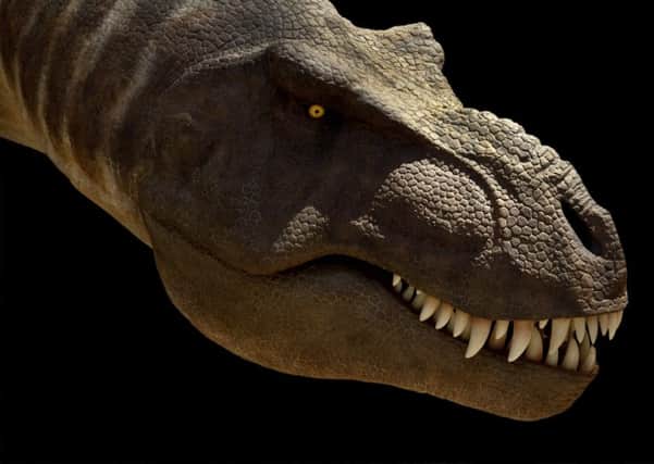 The T. rex. Photo: National History Museum