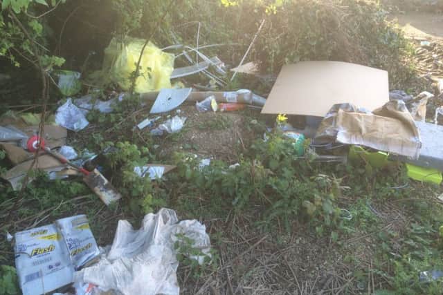 The rubbish left in Potters Way