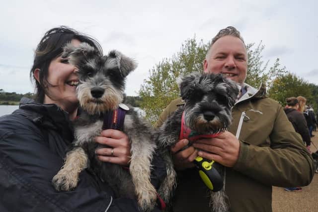 The SchnauzerFest dog walk at Ferry Meadows Tessa Love and Rob Wensak with their dogs. EMN-191013-141246009