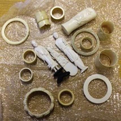Ivory found by officers