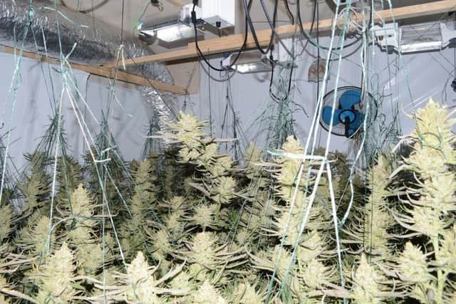 Drugs found by officers