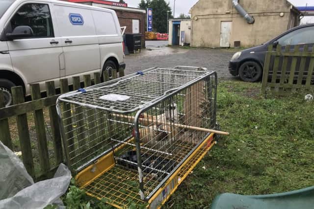 The birds were found in a trolley