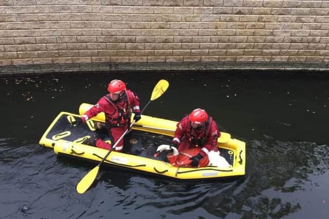 The swan being rescued by firefighters. Photo: Cambridgeshire Fire and Rescue Service