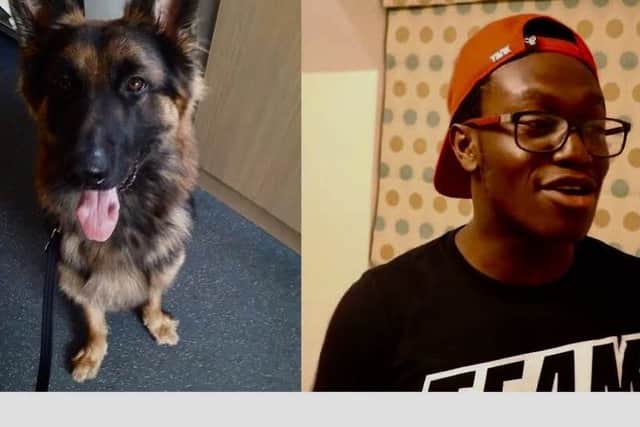 Tank and Deji