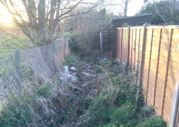 The 'wildlife corridor' at the rear of Grimshaw Road
