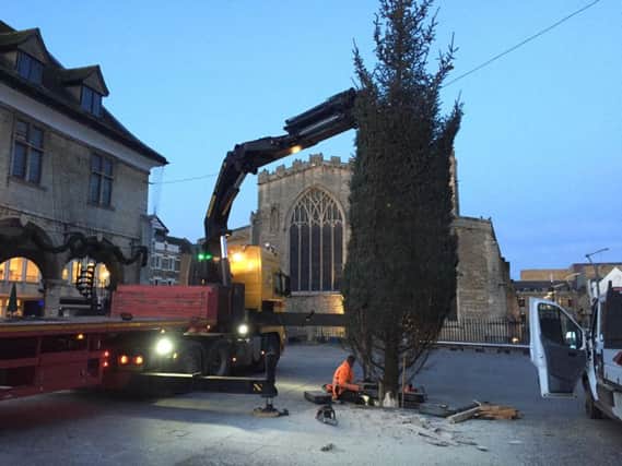 The tree arrives in Peterborough