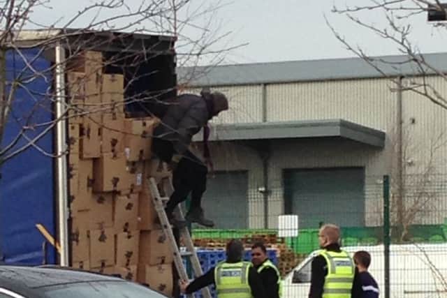 Suspected illegal immigrant gets out of a lorry near the A15 in Market Deeping where police are waiting to arrest him. Photo: Kyle Kirkland.