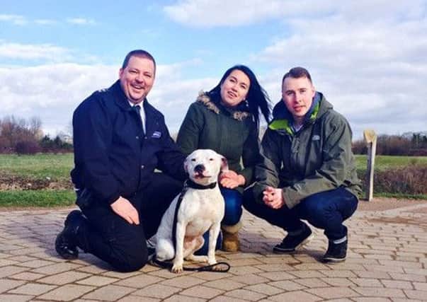 Staffordshire terrier Ziggy will be featured in the first episode of the new series of The Dog Rescuers on Channel Five tomorrow night (Tuesday) at 8pm. Photo courtesy of Channel Five. EMN-150518-093849001