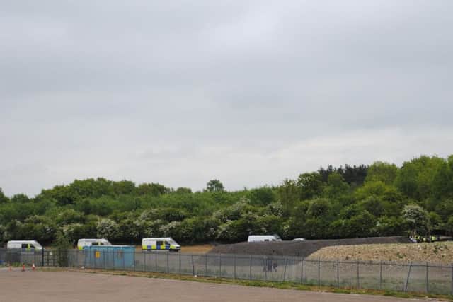 Police vans line the edge of Twyford Wood