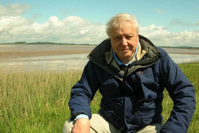 Sir David Attenborough. Photo: PA Photo/UKTV