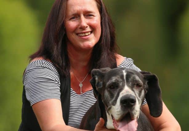 Joanne Boardman, 47, with Ellie the Great Dane. Joanne Boardman, 47 had taken her beloved rescue dog on her daily walk through some fields and allotments near her home. But within hours of returning, eight-year-old Ellie the Great Dane was covered in sore blisters and whimpering in pain.Tom Maddick / Rossparry.co.uk