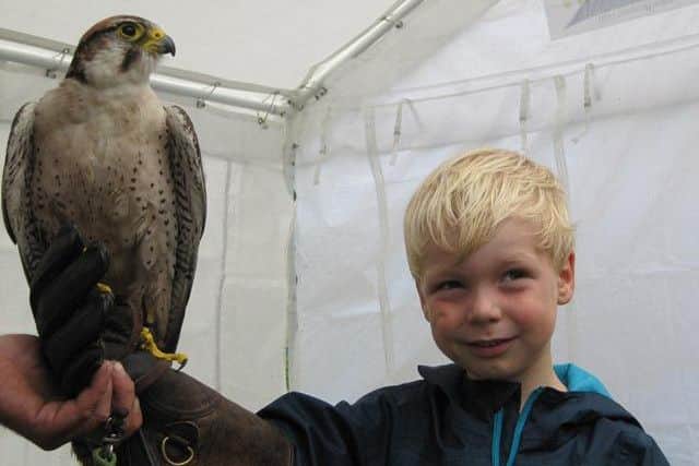 Sacrewell Farm's Pet experience day EMN-151008-144113001