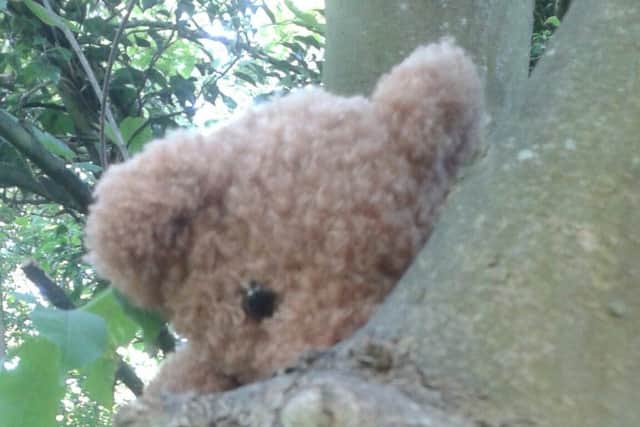Teddy bear adventure at Sacrewell EMN-150825-090526001