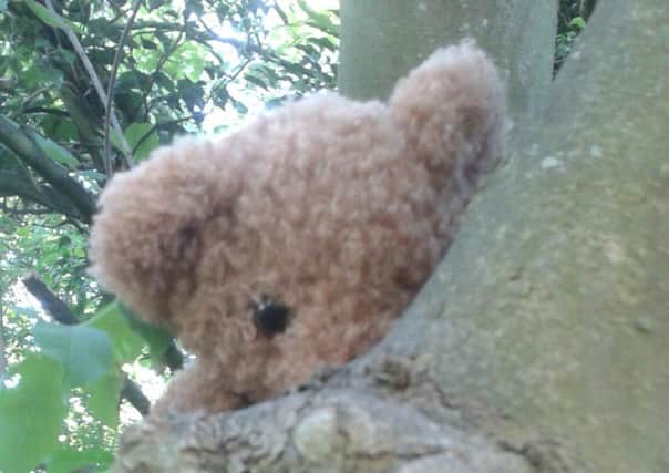 Teddy bear adventure at Sacrewell EMN-150825-090526001