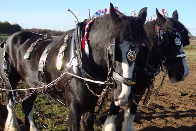 Sacrewell's Harvest Festival EMN-150827-121223001
