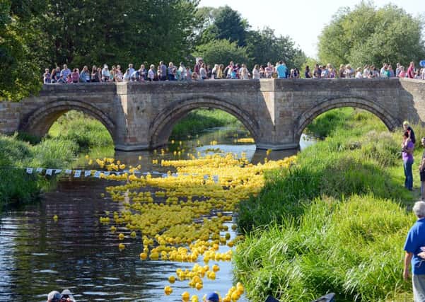The 2015 Deeping Duck Race, organised by Deeping Lions.

Photo: David Pearson EMN-150709-124446001