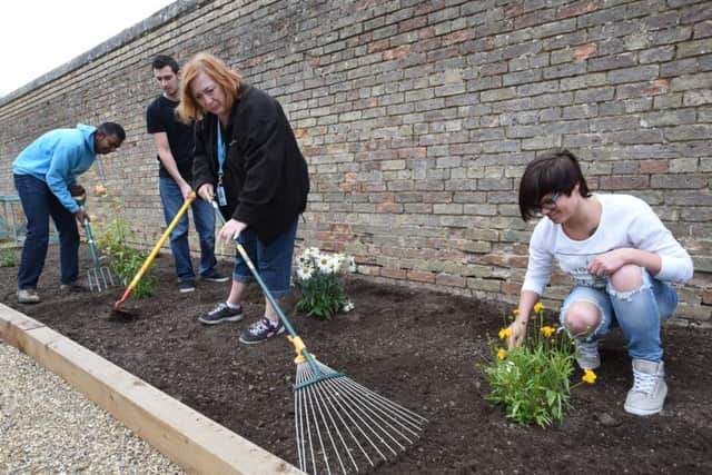 Kitchen garden official opening at Sue Ryder, Thorpe hall. Volunteers Nilesh patel, Baiba Ozola, Jacqueline Almen and Gwyn Martyn at work EMN-150921-185346009