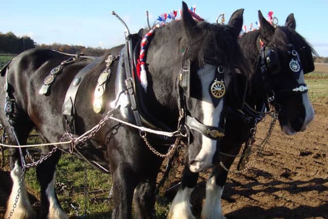 Sacrewell's Harvest Festival EMN-150827-121223001