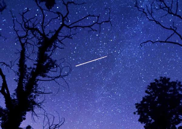 The Orionid meteor shower will reach its peak this week. ENGEMN00120130814091545
