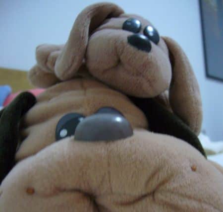 Pound Puppies