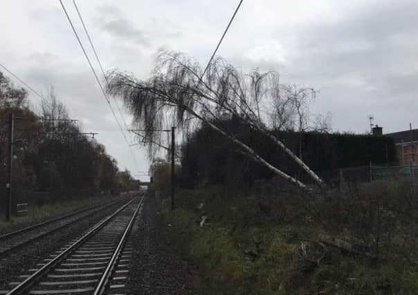 This fallen tree led to long delays to trains heading north of Grantham