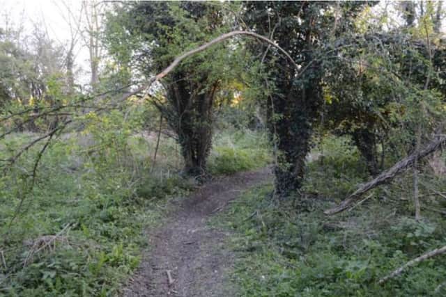 The woodland where Connor Cahalane-Toon almost killed.